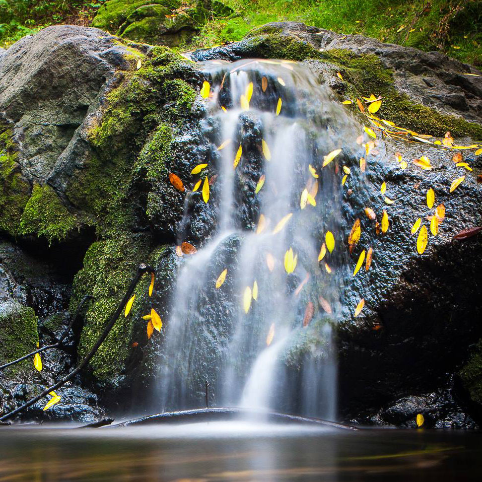 Where in the world is Joe Boyle Photography Photo Contest!