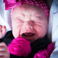 Newborn Baby Portraits