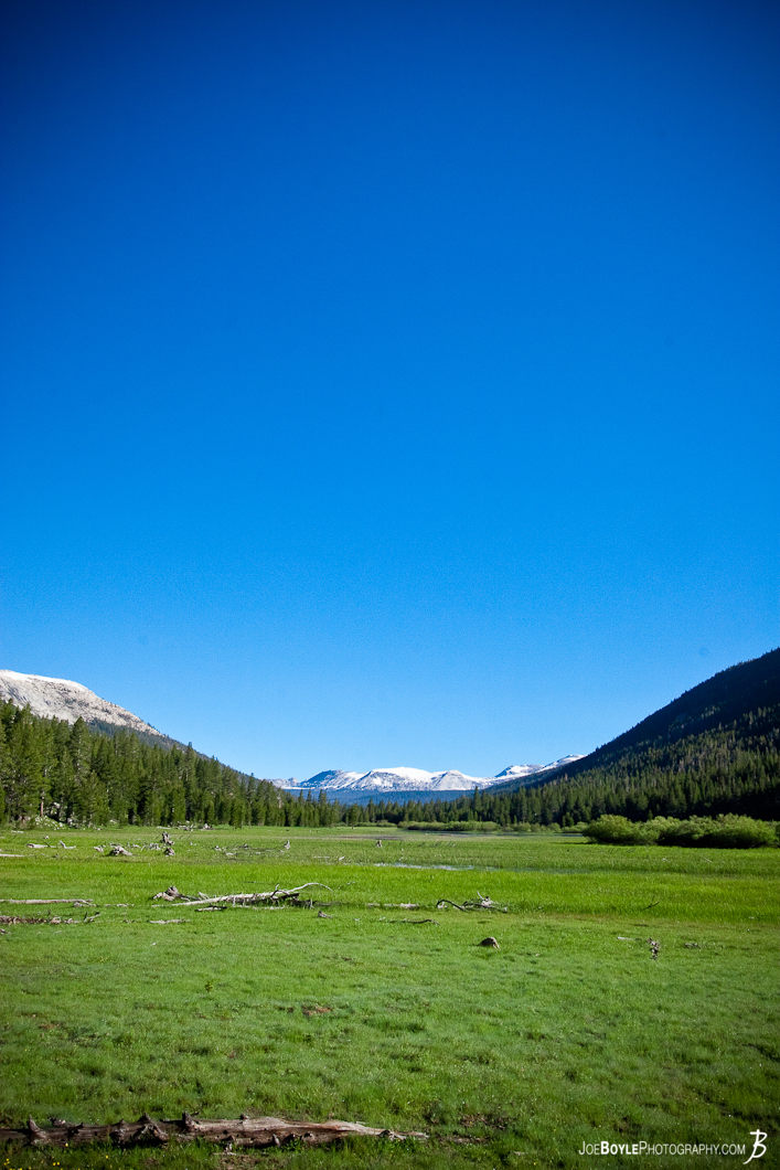  A view from the path on the John Muir Trail. 