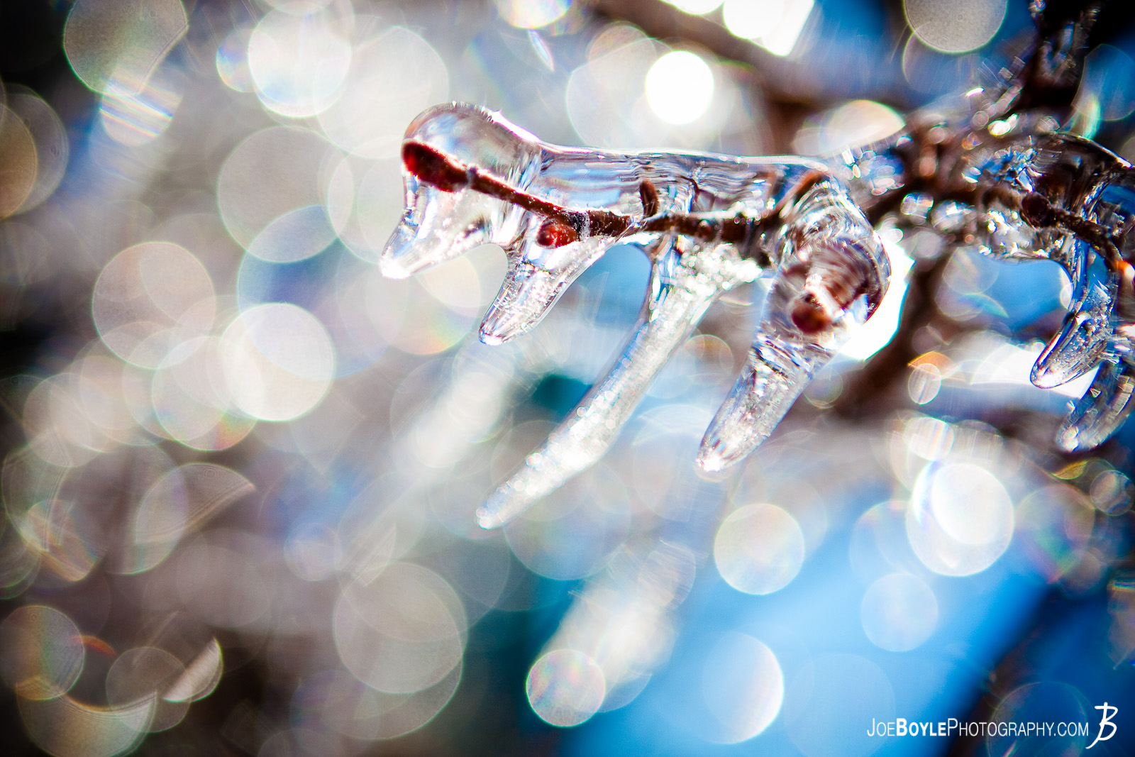  I captured this photo after an ice storm came through the Cleveland area. The storm provided some great picture opportunities that I was able to capture the following day including these icicles which are clinging to the tree branch! 