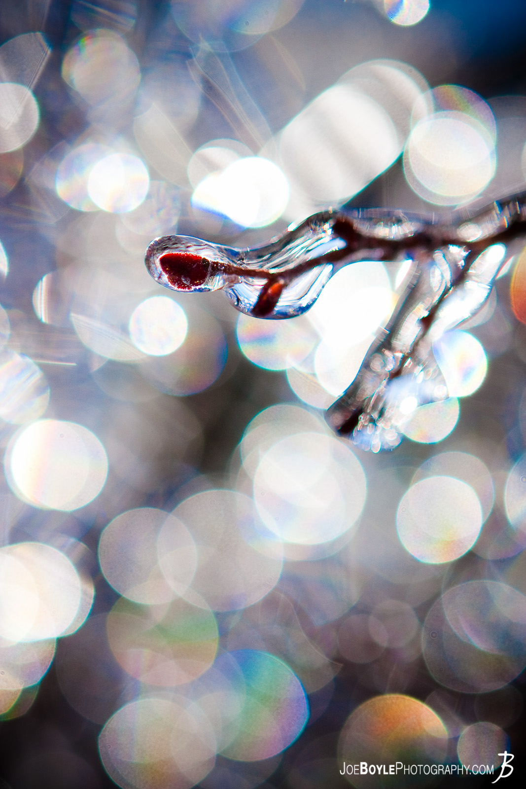  I captured this photo after an ice storm came through the Cleveland area. The storm provided some great picture opportunities that I was able to capture the following day including this tree branch coated in ice! 