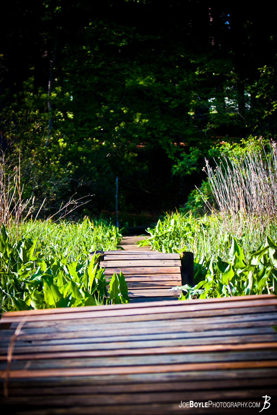  I have some good friends down in Virginia and this very cool dock is right in their backyard! It's the perfect getaway in warm weather to sit, relax, read, smoke a cigar, have a drink, you get the idea... 