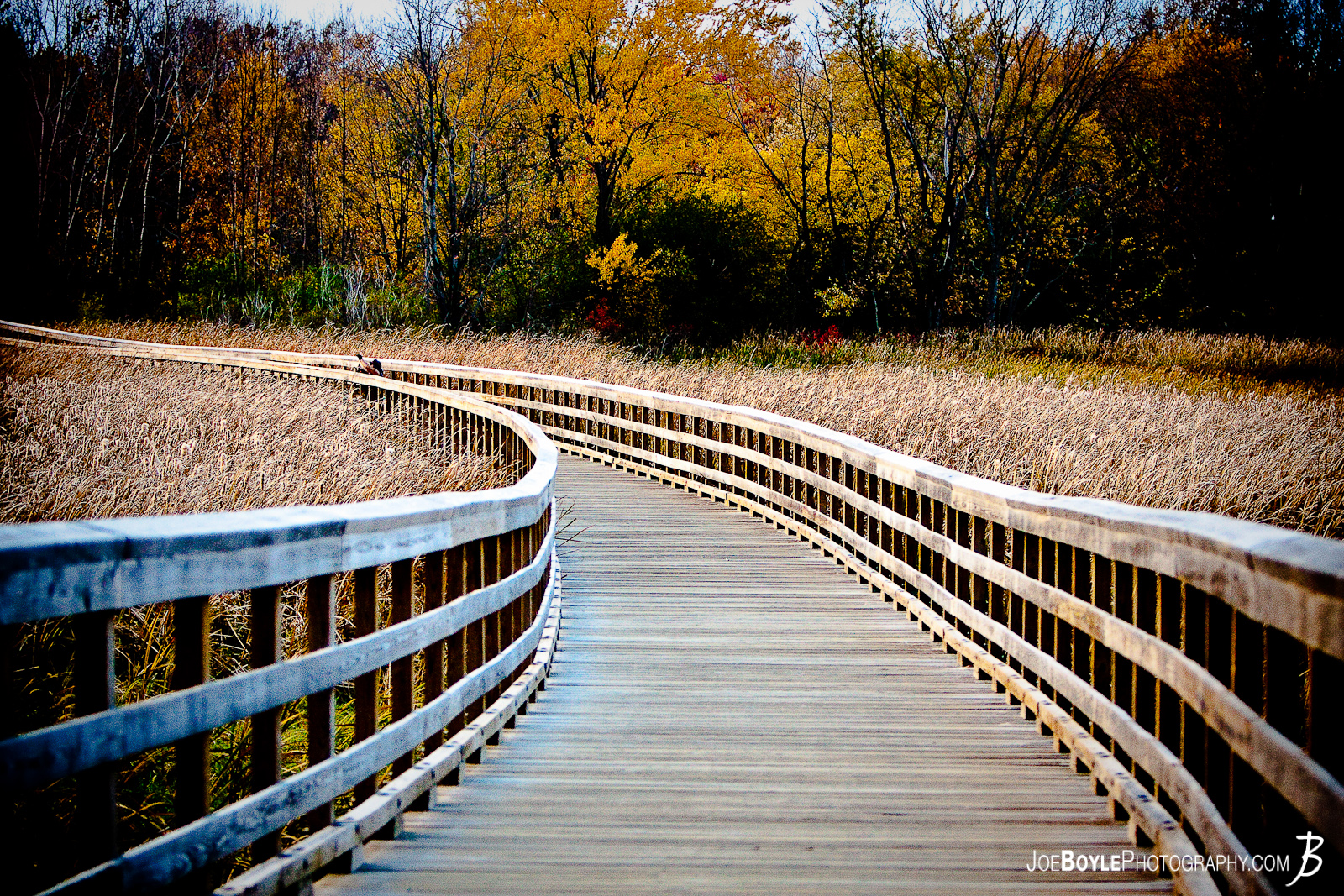  I was on a short hike with a few friends when I took this picture. I really loved the curving lines of the bridge (or walkway) throughout the field and I was lucky that there weren't very many people on it! 