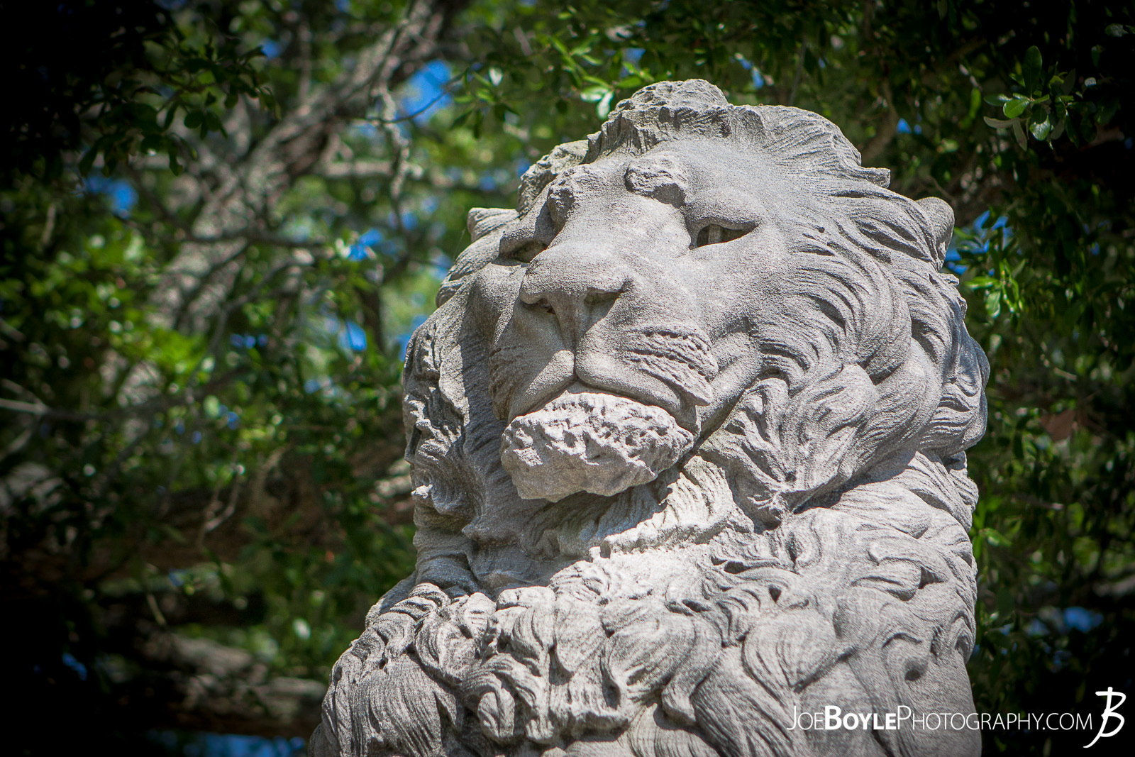  When I was visiting friends in Virginia this past summer we made it a point to see some of the historical sites in the area. One of which included the Mariner's Museum. This is an image of 1 of the 4 Lion Statues on the bridge, which is really a dam that creates Lake Maury and provides a great view of the James River. 
