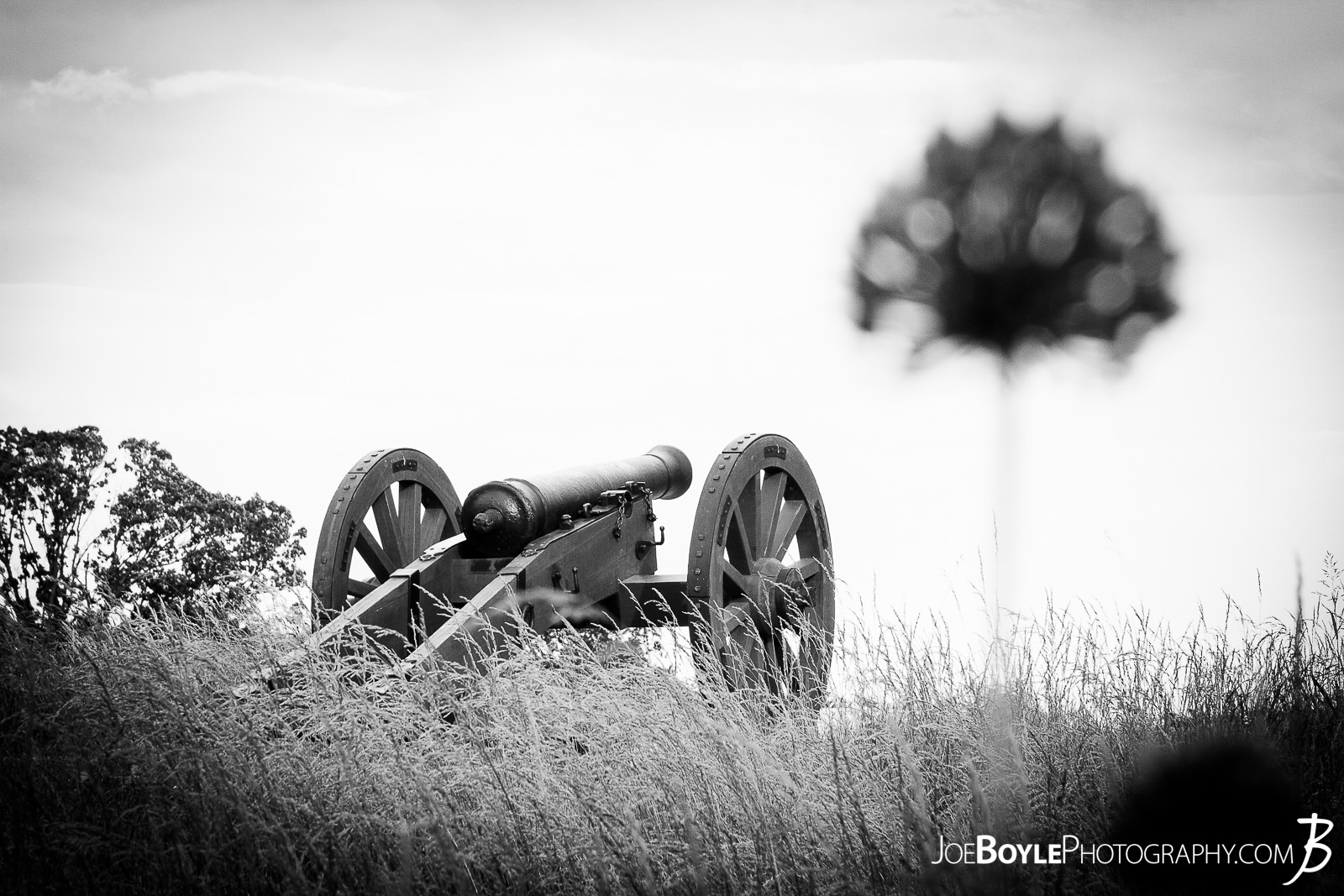  Two iconic symbols from the area of Yorktown, Virginia. The cannon and the Yorktown Onion. These plants and structures remind us of our history. From the settling of British Colonoies to the Revolutionary war, it's important to know our past. The Yorktown Onion is native to York County and likely introduced into the area in the colonial times from England. Seed exchange was common between the colony and the mother country. Source: Remember Yorktown 