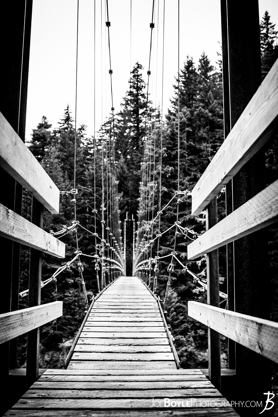 A black and white photo of the neat looking Carbon River Suspension Bridge on the Wonderland Trail. 