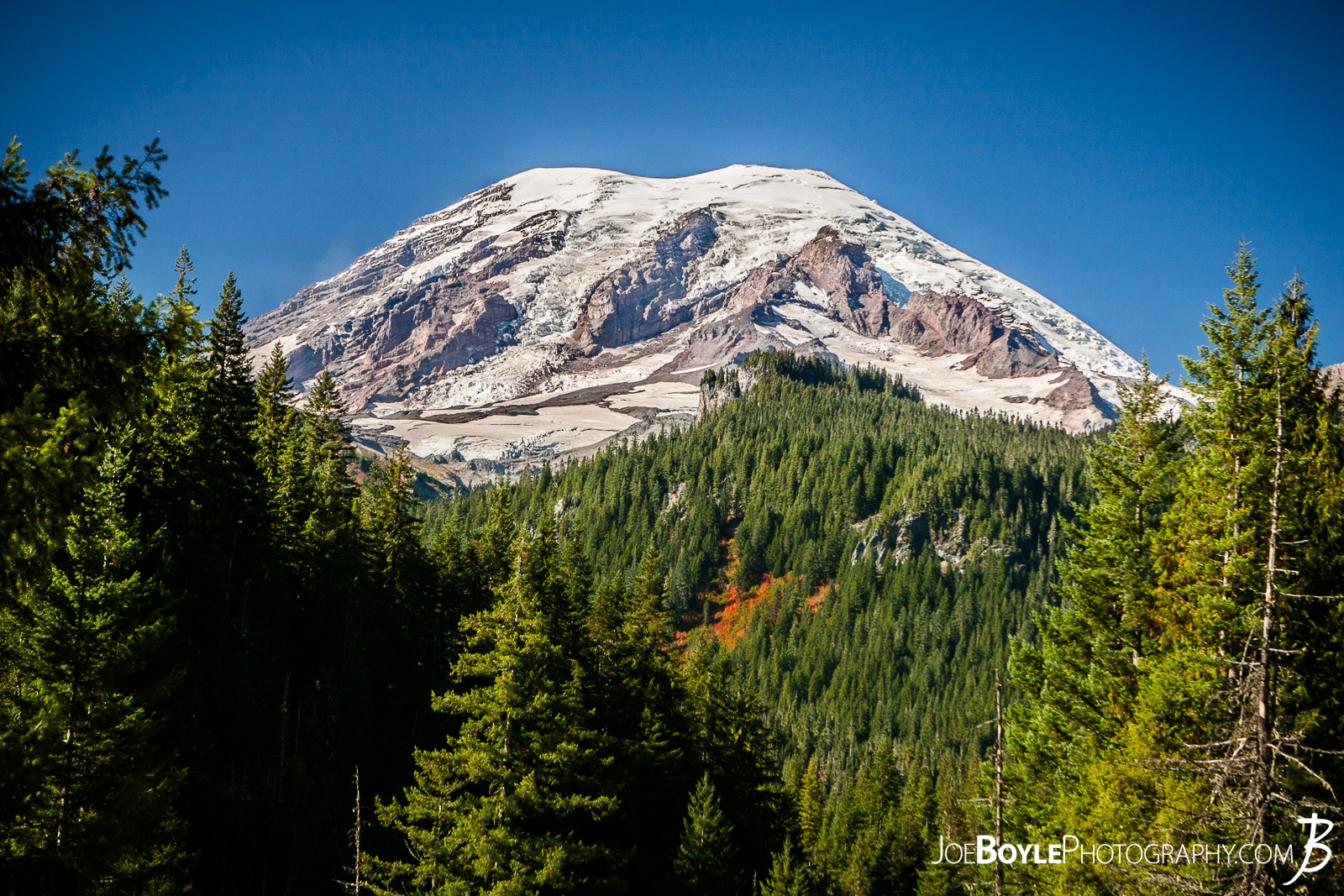  On our way to the Indian Bar campsite their were a couple of great clearings to see Mount Rainier! 