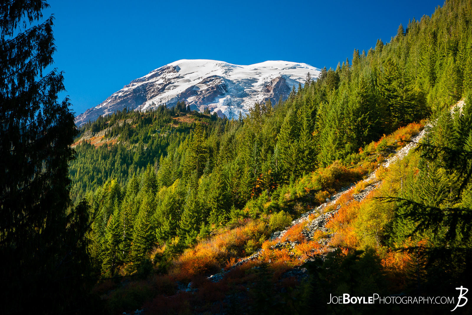  On our way to the Paradise River Campground we were able to see the sunset on Mount Rainier and the few trees and bushes that were already turning "fire red" and orange for the approaching Autumn season! 