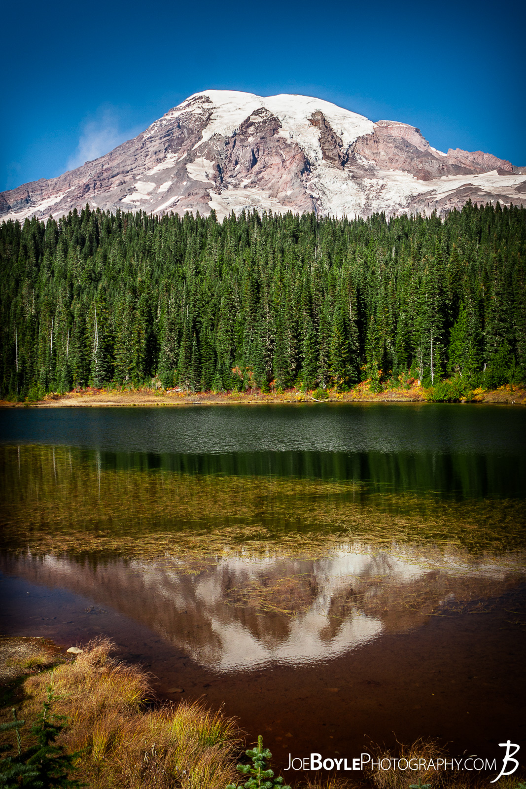  On our way out of the Paradise River Campground and en route to the Longmire Trailhead we were able to see the sunrise on Mount Rainier at Reflection Lakes! 