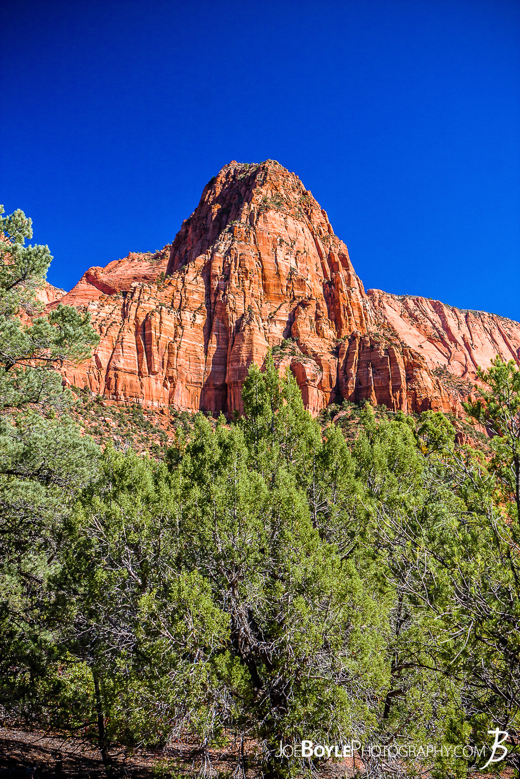  This is a photo near the start of the trailhead for the Kolob Canyon Trail in Zion National Park. The trail was a beautiful and pleasant 14 mile round trip. My hiking buddy Caleb and I hiked it together and saw the Koleb Arch near the half way point. Interestingly, I noticed the terrain changed quite a bit as we descened. It started off as I expected,... rocky. Their were large sections, however that were quite sandy. That slowed us down a little bit, but not too much. I just didn't expect it! Here are some links to more articles and and hiking info about the Koleb Canyon Trail, Koleb Arch, other hiking trails in Zion National Park and a Map of Zion National Park. 