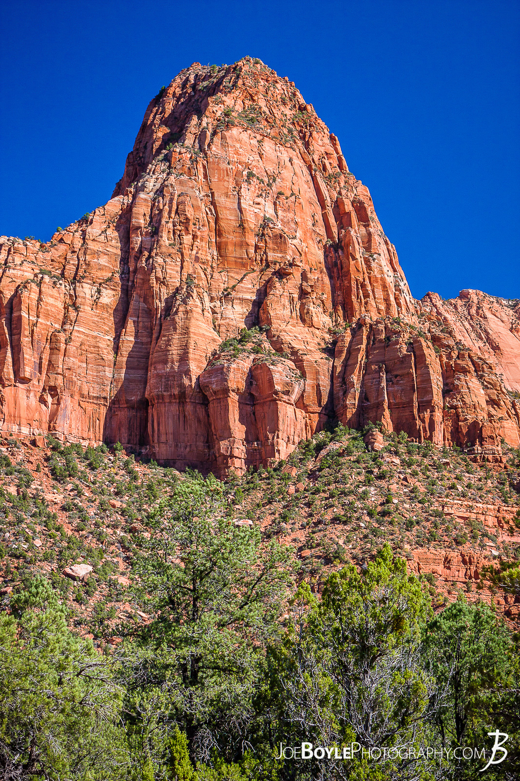  This is a photo near the start of the trailhead for the Kolob Canyon Trail in Zion National Park. The trail was a beautiful and pleasant 14 mile round trip. My hiking buddy Caleb and I hiked it together and saw the Koleb Arch near the half way point. Interestingly, I noticed the terrain changed quite a bit as we descened. It started off as I expected,... rocky. Their were large sections, however that were quite sandy. That slowed us down a little bit, but not too much. I just didn't expect it! Here are some links to more articles and and hiking info about the Koleb Canyon Trail, Koleb Arch, other hiking trails in Zion National Park and a Map of Zion National Park. 