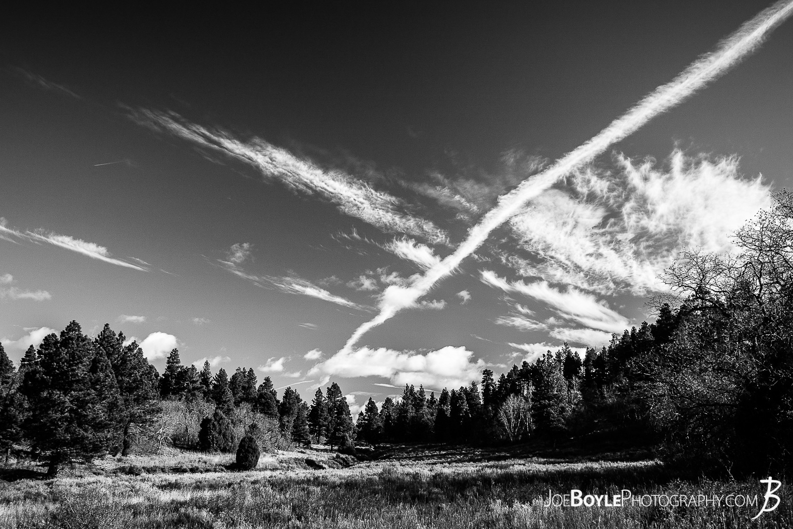  This is a black and white photo of a field with trees and a beautiful blue sky with some gorgeous clouds on the West Rim Trail  in Zion National Park. My hiking buddy and I spent a few nights hiking this trail to the end of the West Rim Trail. We finished up this leg of the trip hiking Angel's Landing and finished up at The Grotto. Here are some links to more articles and and hiking info about the West Rim Trail, hiking trails in Zion National Park and a Map of Zion National Park. 