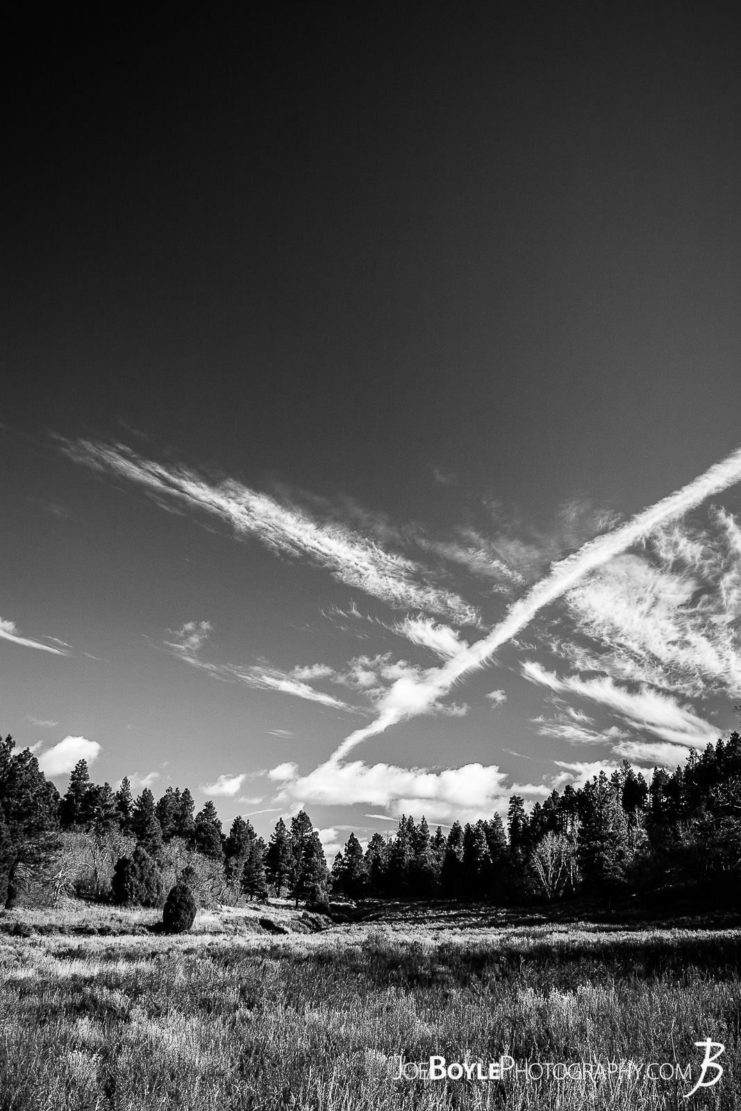  This is a black and white photo of a field with trees and a beautiful blue sky with some gorgeous clouds on the West Rim Trail  in Zion National Park. My hiking buddy and I spent a few nights hiking this trail to the end of the West Rim Trail. We finished up this leg of the trip hiking Angel's Landing and finished up at The Grotto. Here are some links to more articles and and hiking info about the West Rim Trail, hiking trails in Zion National Park and a Map of Zion National Park. 