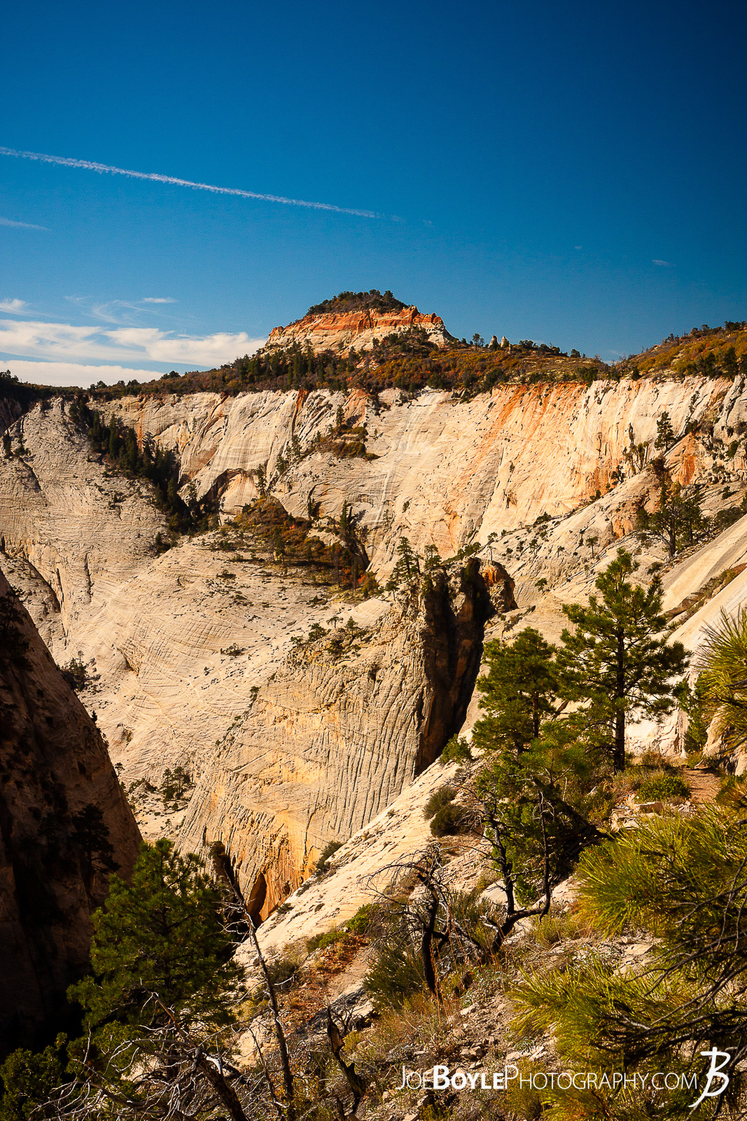  While hiking on the West Rim Trail in Zion National Park my hiking buddy and I were able to see some canyons in the early morning light. This is a photo of a canyon cliff face along our way! We spent a few nights hiking this trail to the end of the West Rim Trail. We finished up this leg of the trip hiking Angel's Landing and exited at The Grotto.  Here are some links to more articles and hiking info about the West Rim Trail and hiking trails in Zion National Park and a Map of Zion National Park. 