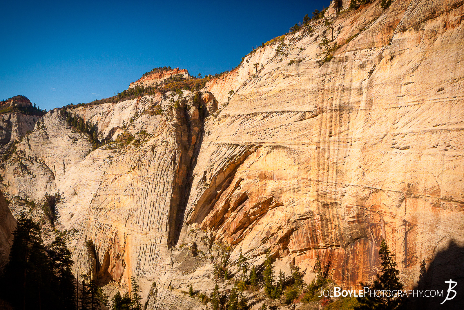  While hiking on the West Rim Trail in Zion National Park my hiking buddy and I were able to see some canyons in the early morning light. This is a photo of a canyon cliff face along our way! We spent a few nights hiking this trail to the end of the West Rim Trail. We finished up this leg of the trip hiking Angel's Landing and exited at The Grotto.  Here are some links to more articles and hiking info about the West Rim Trail and hiking trails in Zion National Park and a Map of Zion National Park. 