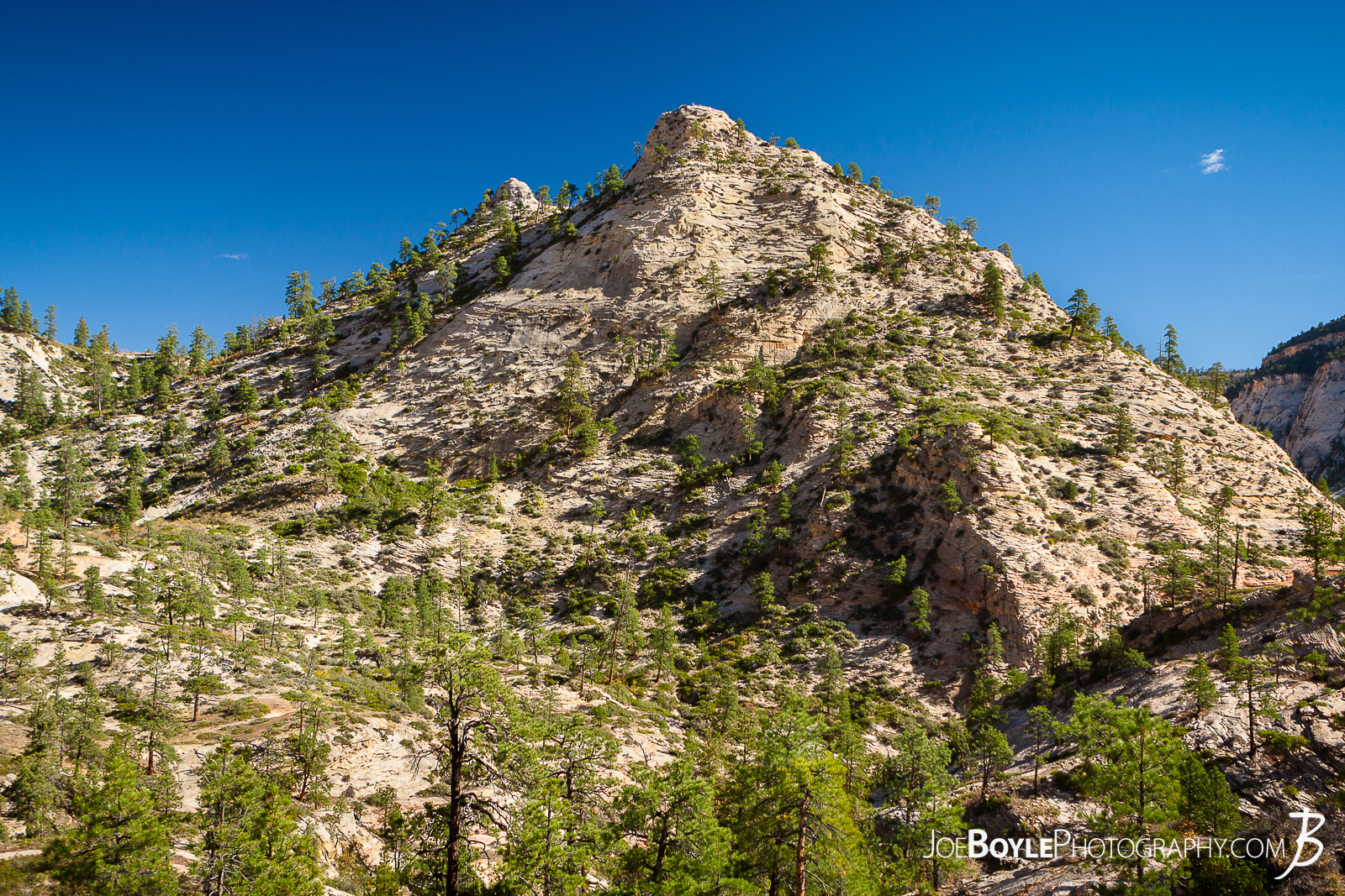  While hiking on the West Rim Trail in Zion National Park my hiking buddy and I were able to see some mountains and canyons in the early morning light. This is a photo of a small mountain along our way! We spent a few nights hiking this trail to the end of the West Rim Trail. We finished up this leg of the trip hiking Angel's Landing and exited at The Grotto.  Here are some links to more articles and hiking info about the West Rim Trail and hiking trails in Zion National Park and a Map of Zion National Park. 