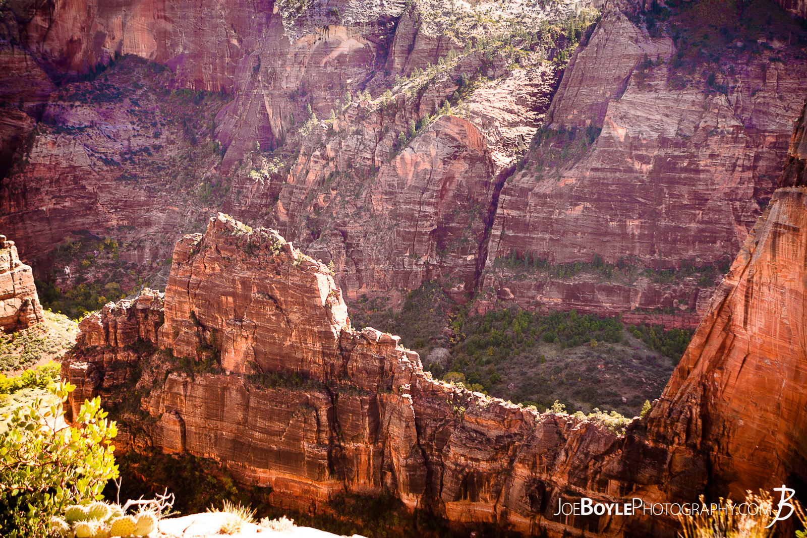  While hiking on the West Rim Trail in Zion National Park my hiking buddy and I were able to see many mountains, canyons and valleys! This is a photo of a cliff we saw near Angel's Landing! We finished up this leg of the trip hiking Angel's Landing and exited at The Grotto.  Here are some links to more articles and hiking info about the West Rim Trail and hiking trails in Zion National Park and a Map of Zion National Park. 