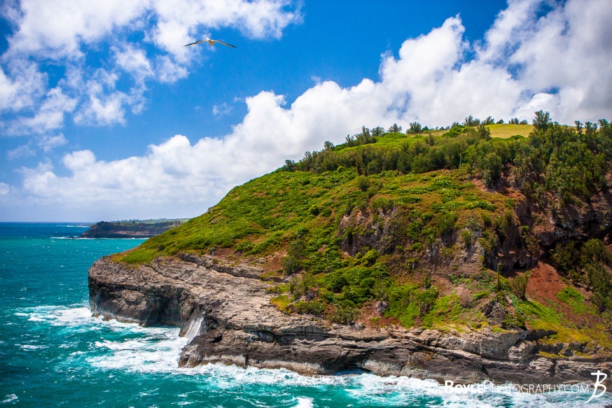 As I was traveling in Hawaii I tried to stop at as many locations as possible. This shot was take from the Kilauea lighthouse towards the Hawaiian Coast!