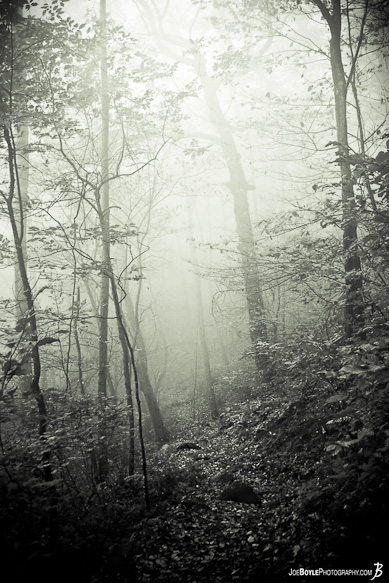 This image was captured just before Unicoi Gap. We were desceding the mountain as a storm was beginning to surround us. This image was captured just before Unicoi Gap. We were desceding the mountain as a storm was beginning to surround us.