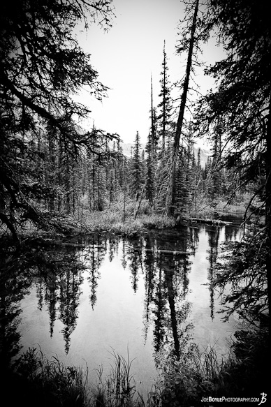 This black and white image was taken while I was in Glacier National Park This black and white image was taken while I was in Glacier National Park