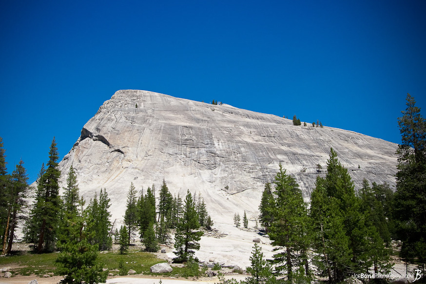 Near Tuolumne Meadows 