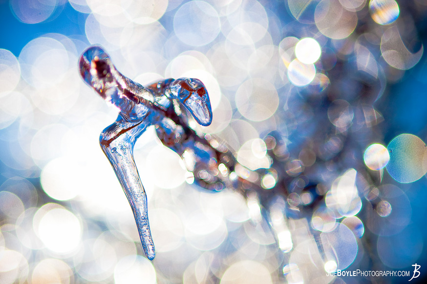 I captured this photo of the ice covered tree branch after an ice storm came through the Cleveland area.