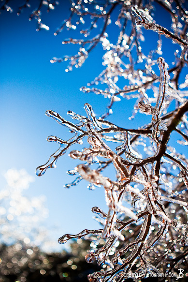 I captured this photo of these tree branches coated in ice on the backdrop of a beautiful blue sky after an ice storm came through the Cleveland area. I captured this photo of these tree branches coated in ice on the backdrop of a beautiful blue sky after an ice storm came through the Cleveland area.