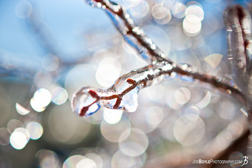 I captured this photo of a tree branch covered in ice after an ice storm came through the Cleveland area. I captured this photo of a tree branch covered in ice after an ice storm came through the Cleveland area.