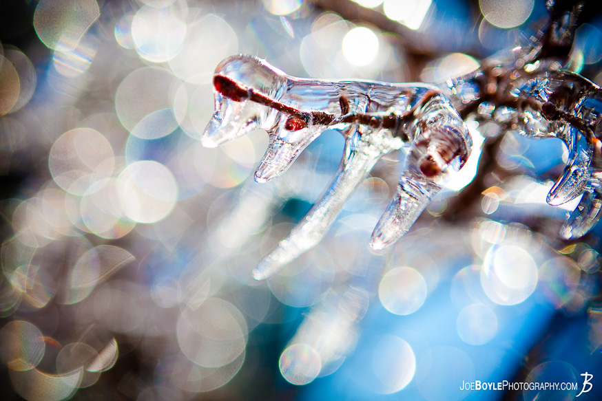 I captured this photo of icicles clinging to the tree branch after an ice storm came through the Cleveland area. I captured this photo of icicles clinging to the tree branch after an ice storm came through the Cleveland area.