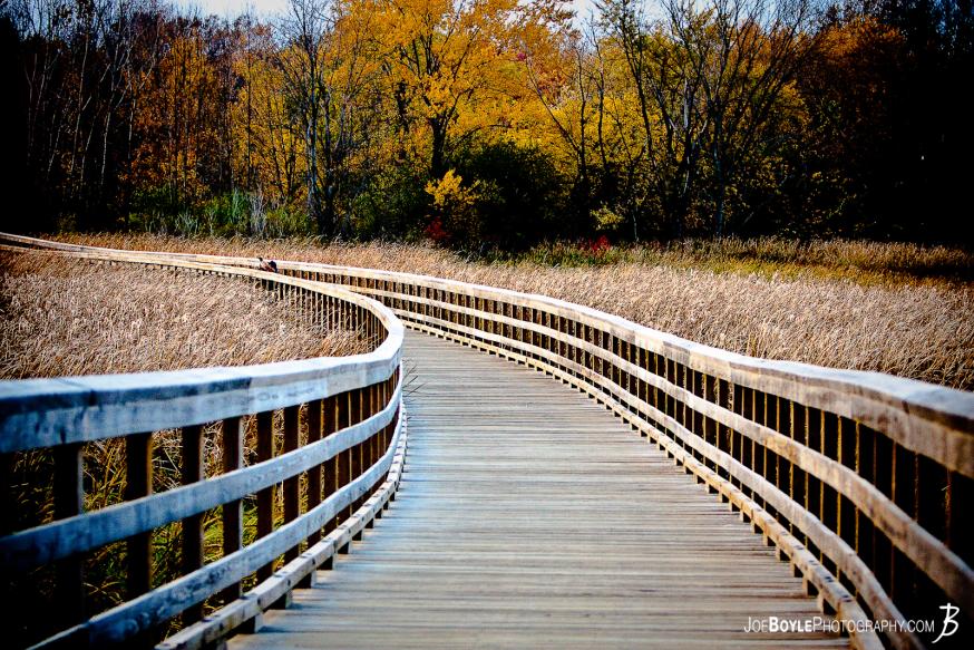 I was on a short hike with a few friends when I took this picture. I really loved the curving lines of the bridge (or walkway) throughout the field.