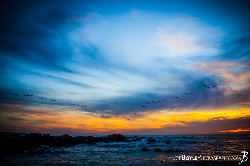 A beautiful sunset with an echelon of herons flying in the sky!