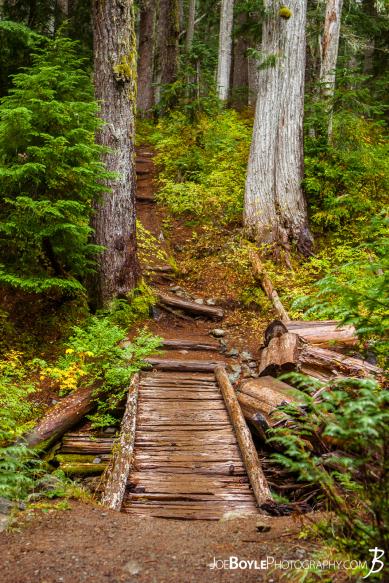 This is one of many foot bridges on the Wonderland Trail. I thought this one looked pretty cool. This is one of many foot bridges on the Wonderland Trail. I thought this one looked pretty cool.