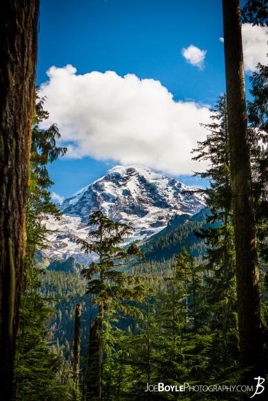 A view of Mount Rainier on our way to the Mowich River Campground. I love how the opening in the trees allowed for such a beautiful view! A view of Mount Rainier on our way to the Mowich River Campground. I love how the opening in the trees allowed for such a beautiful view!
