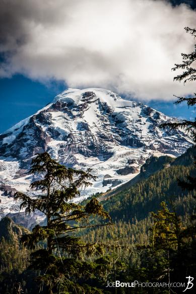 A view of Mount Rainier on our way to the Mowich River Campground. I love how the opening in the trees allowed for such a beautiful view!
