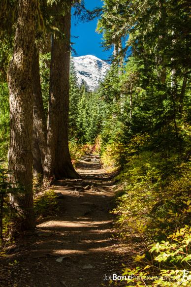 I took this photo of Mount Rainier from the Wonderland Trail near Summerland Campground. I took this photo of Mount Rainier from the Wonderland Trail near Summerland Campground.