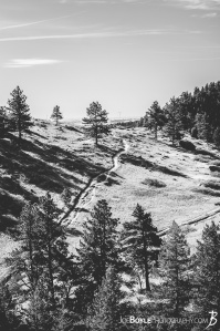 -boulder-colorado-park-field-path-black-white-chautauqua-state-park