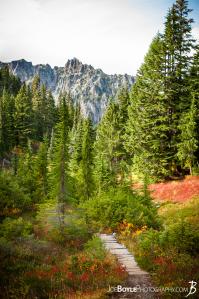spray-park-trail-and-foot-bridge-on-the-descent-to-carbon-river-campground-portrait