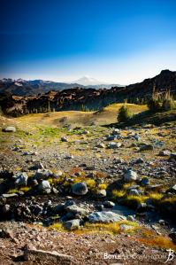 mount-adams-from-the-wonderland-trail-after-panhandle-gap-portrait
