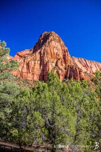 canyon-and-pillar-on-the-kolob-canyon-trail-ii