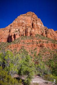 canyon-and-pillar-on-the-kolob-canyon-trail-ii-portrait