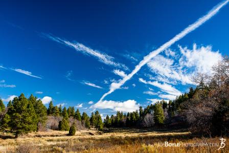 field-with-trees-and-beautiful-blue-sky-with-clouds