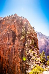 hiking-up-angels-landing