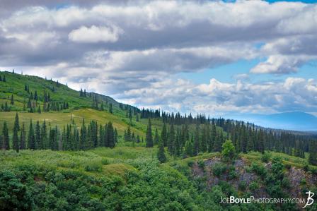 kesugi-ridge-trail-mountain-top-landscape