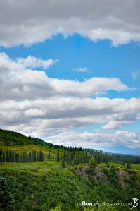 kesugi-ridge-trail-mountain-top-portrait