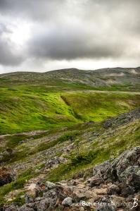green-valley-and-mountain-top-on-kesugi-ridge-trail
