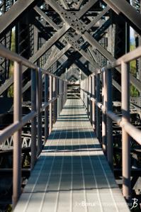 walkway-on-bridge-off-of-denali-highway-portrait-alaska-route-8