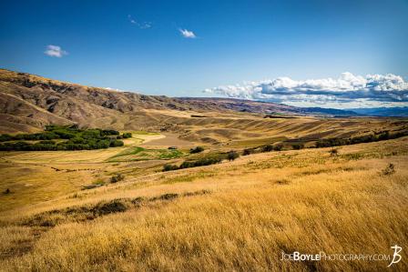new-zealand-grassy-mountainside