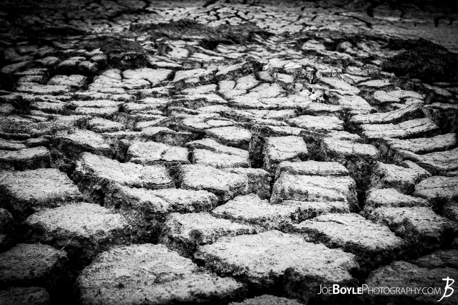 cracked-scorched-earth