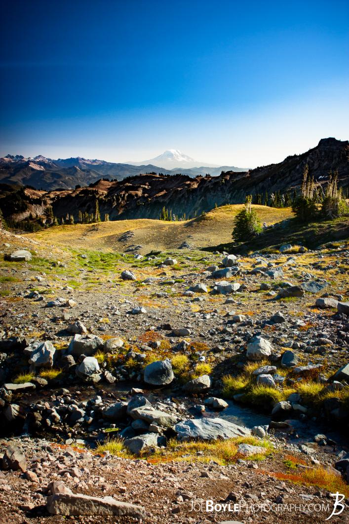 mount-adams-from-the-wonderland-trail-after-panhandle-gap-portrait