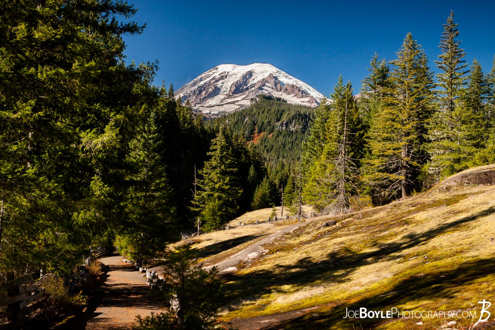 mount-rainier-on-the-wonderland-trail-near-indian-bar